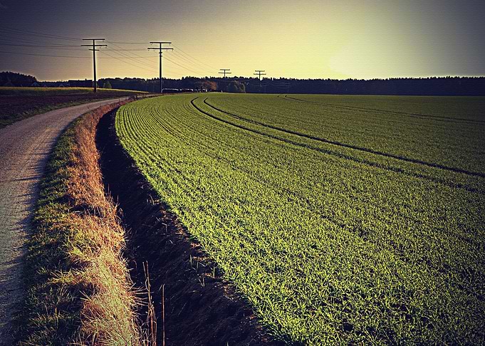 Lanscape