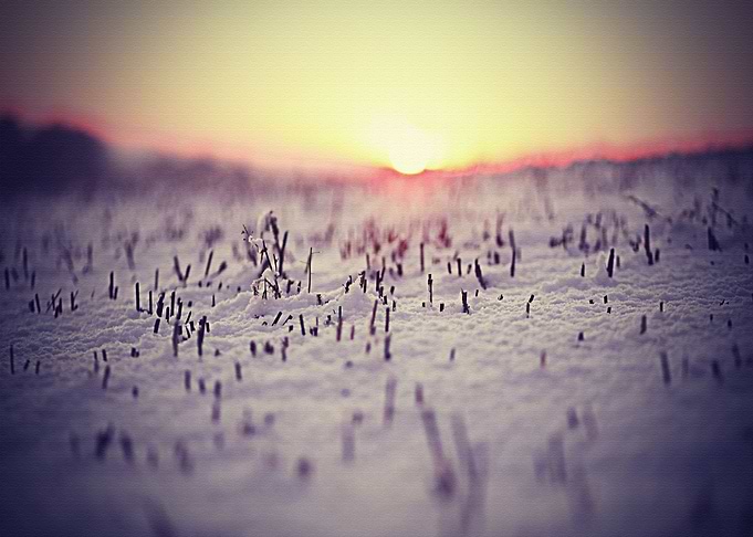 Lanscape