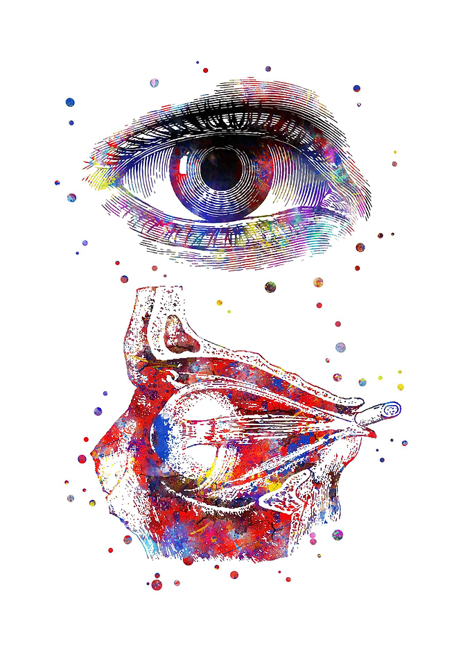 Human eye anatomy