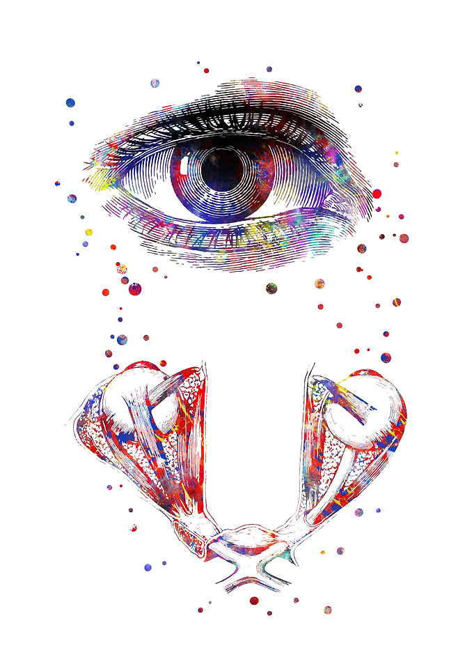 Human eye anatomy