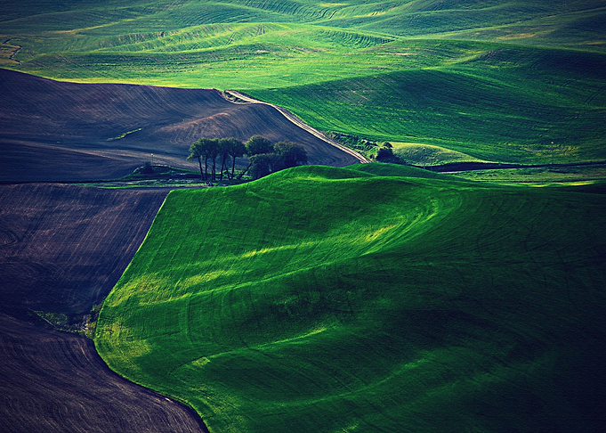 Lanscape