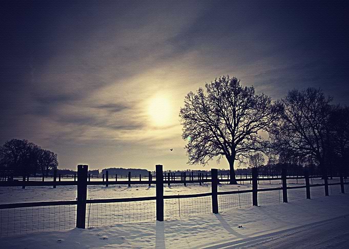 Lanscape