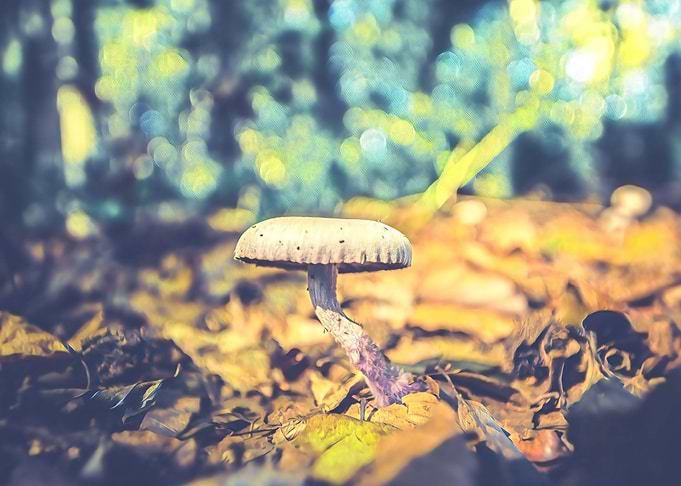 Nature Painting