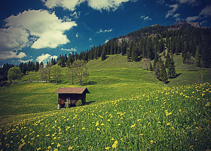Lanscape