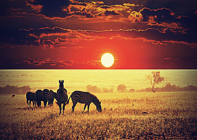 Lanscape