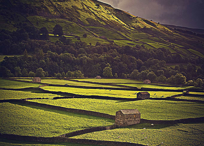 Lanscape
