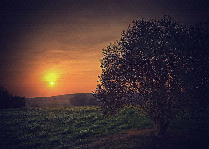 Lanscape