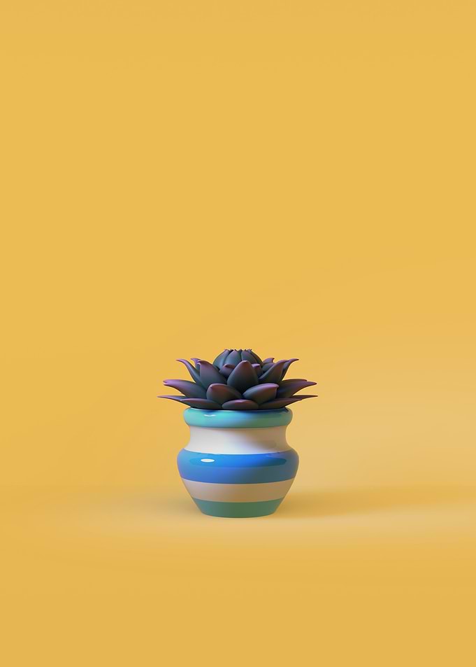 CACTUS 5