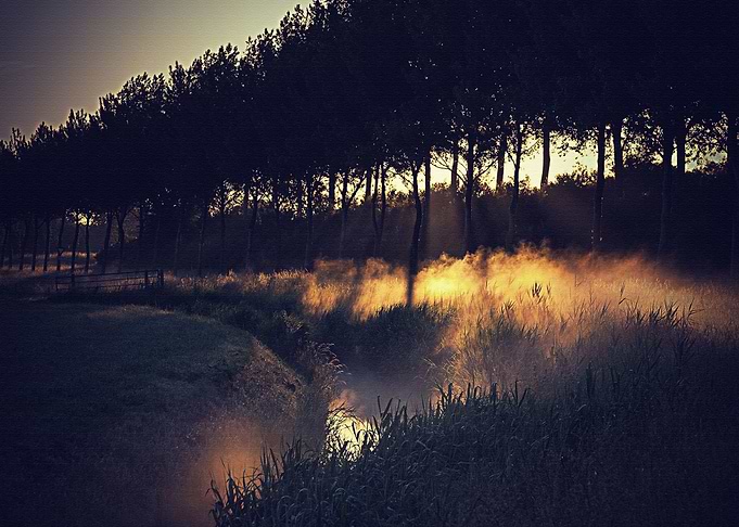 Lanscape