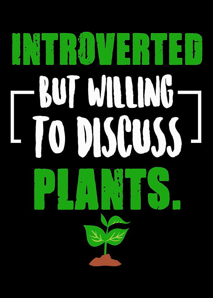 Introverted But Willing To