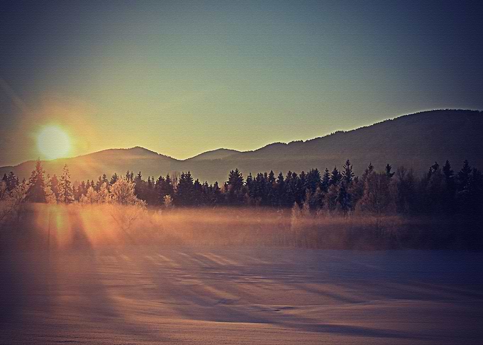 Lanscape