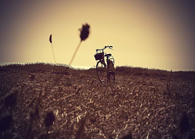 Lanscape