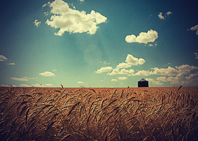 Lanscape