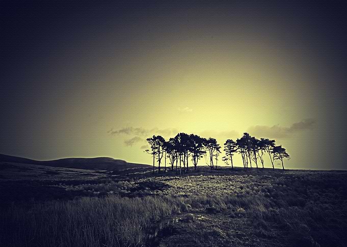 Lanscape