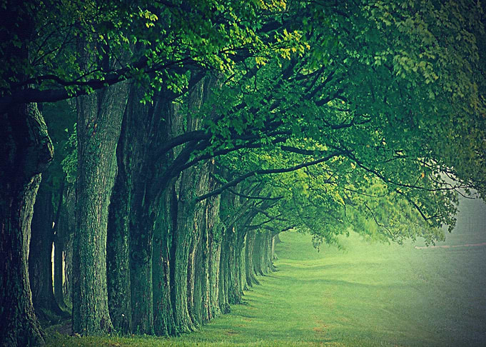 Lanscape