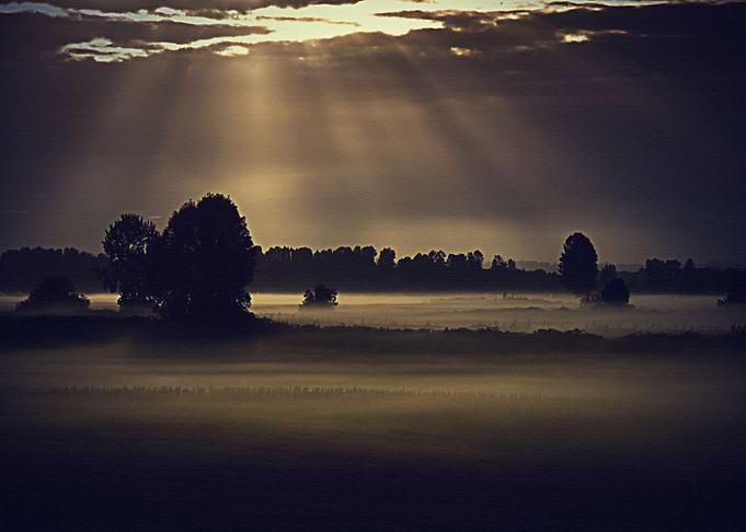 Lanscape