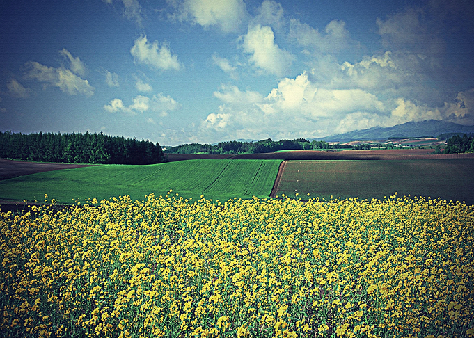 Lanscape