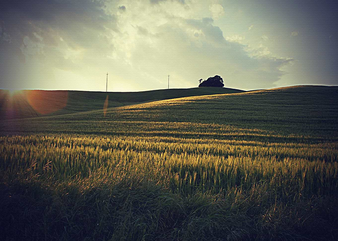Lanscape
