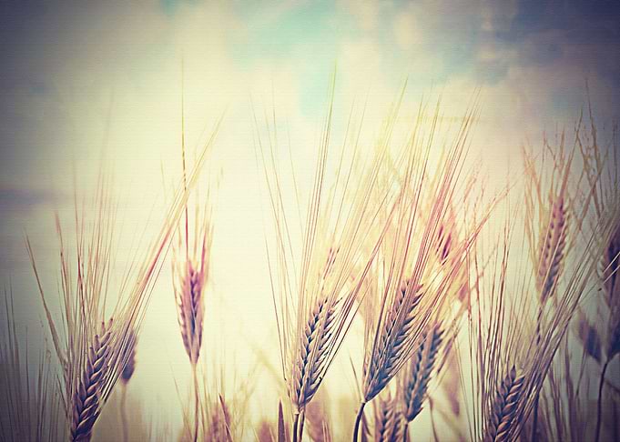 Lanscape