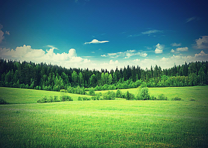 Lanscape