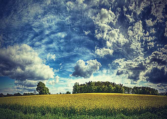 Lanscape