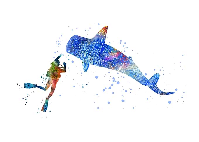 Scuba diver vs blue whale