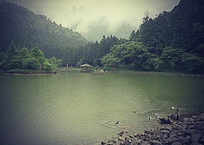 Lanscape