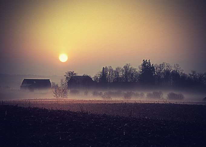 Lanscape