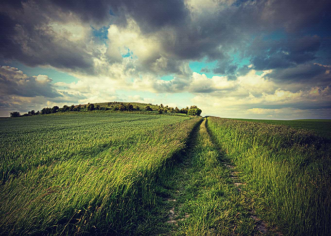 Lanscape