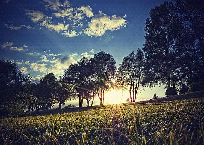 Lanscape