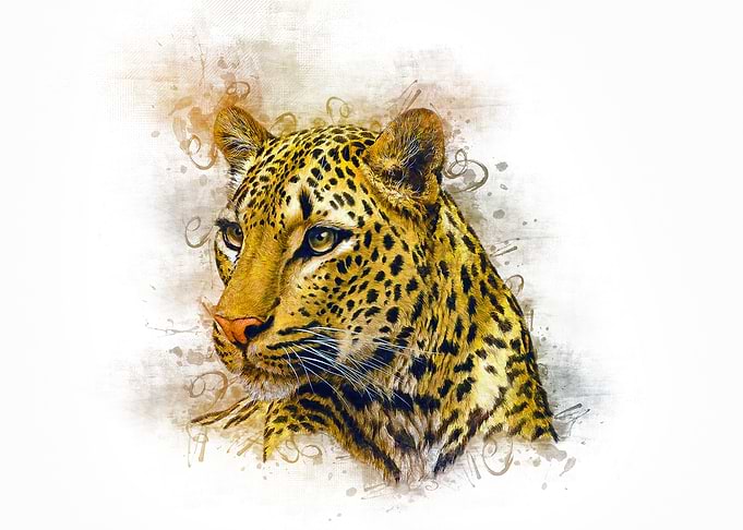 Leopard Art