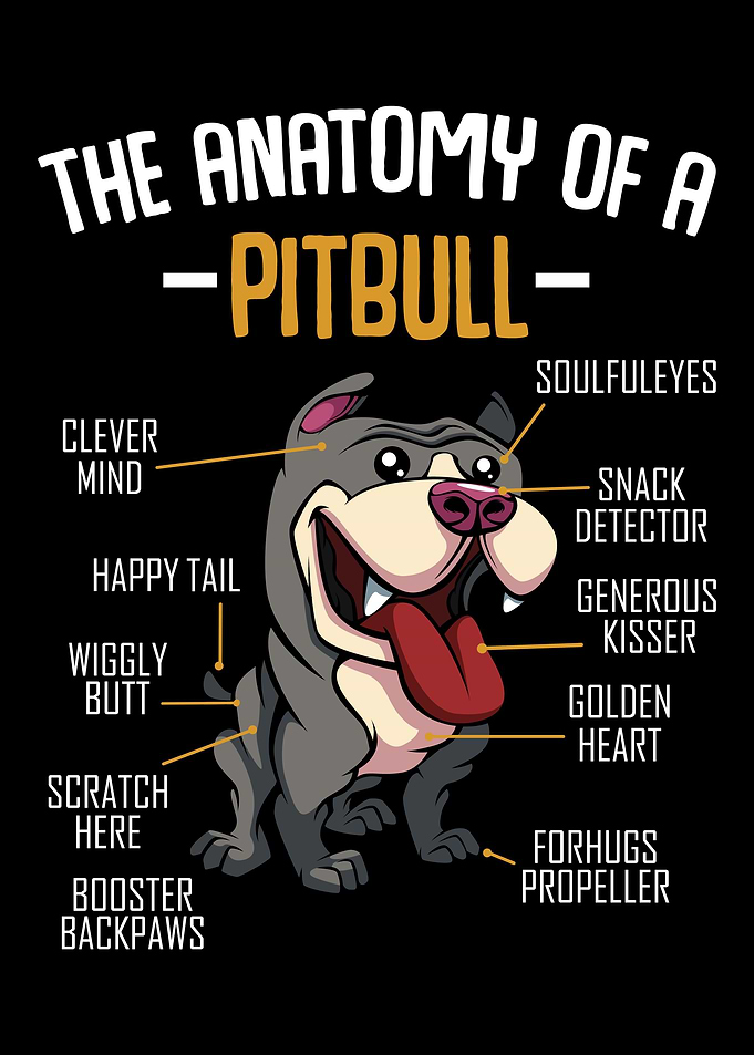 Anatomy Of A Pitbull Cute