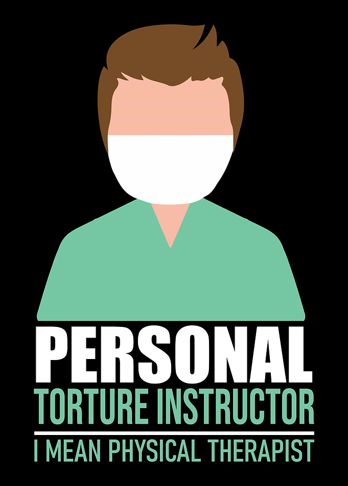 physical therapist