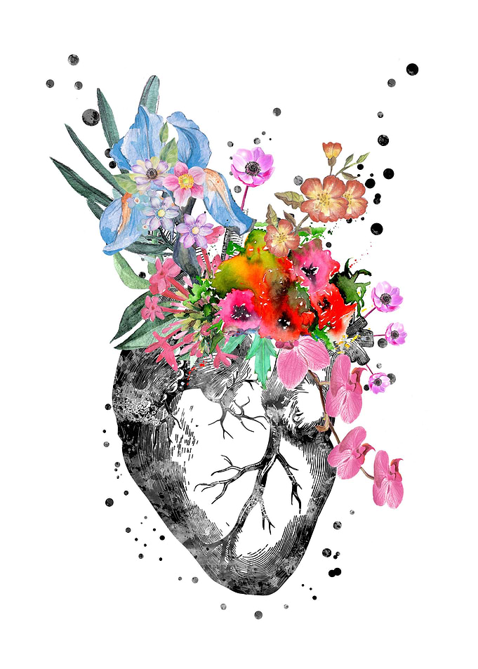 Anatomical heart