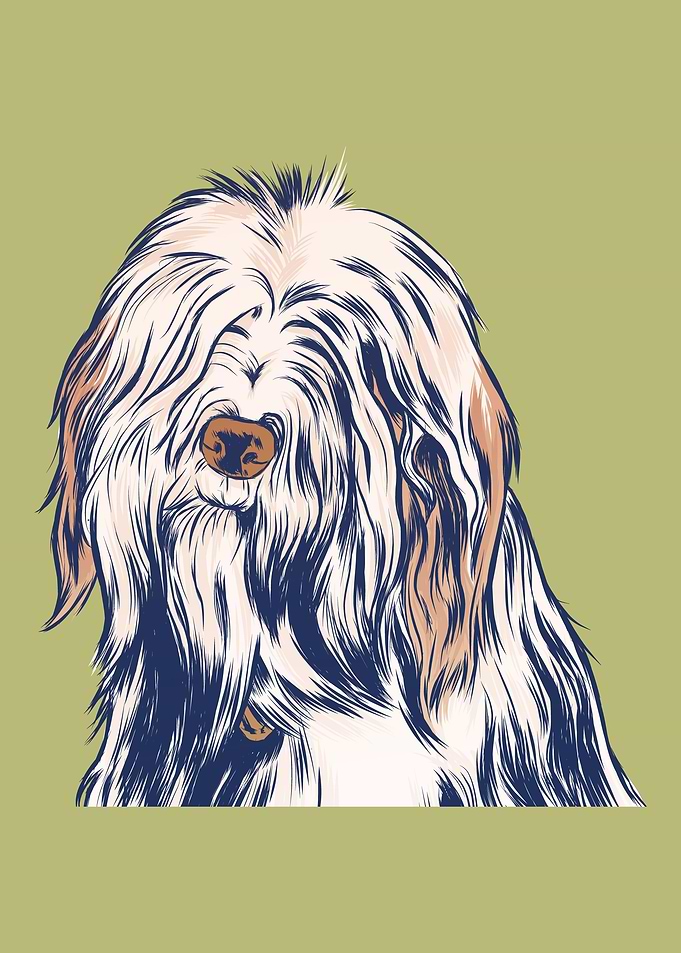 Picture of a dog