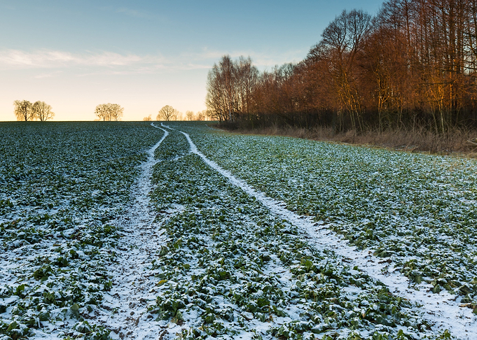Landscape Frost Field Sky
