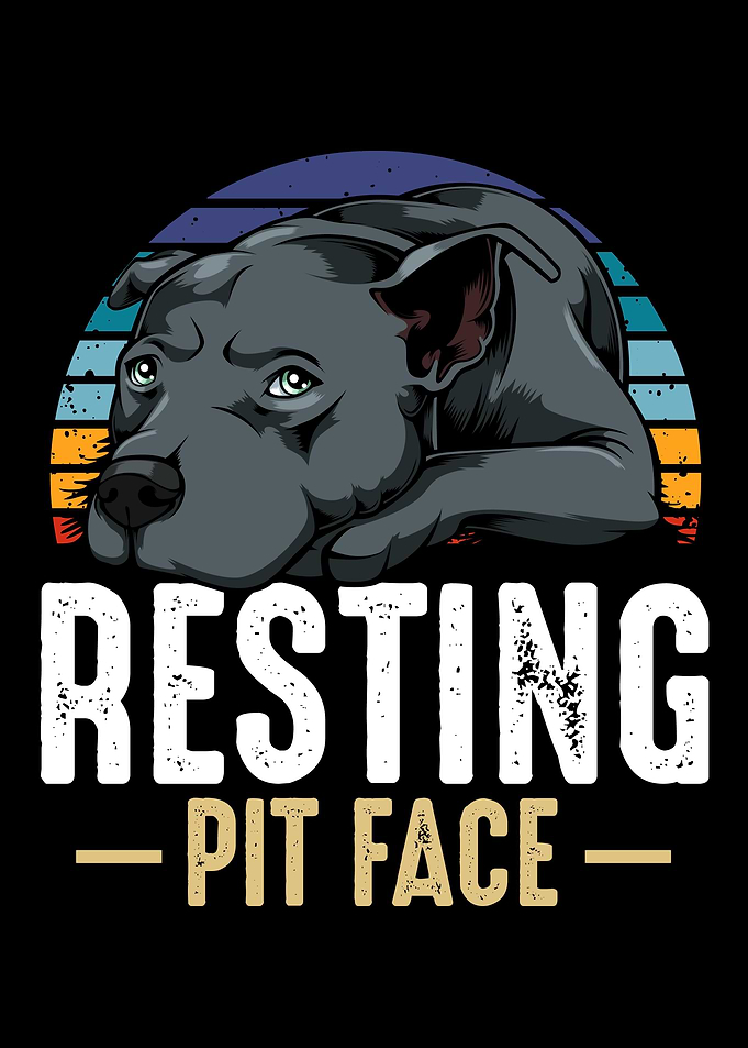 Resting Pit Face Pitbull D