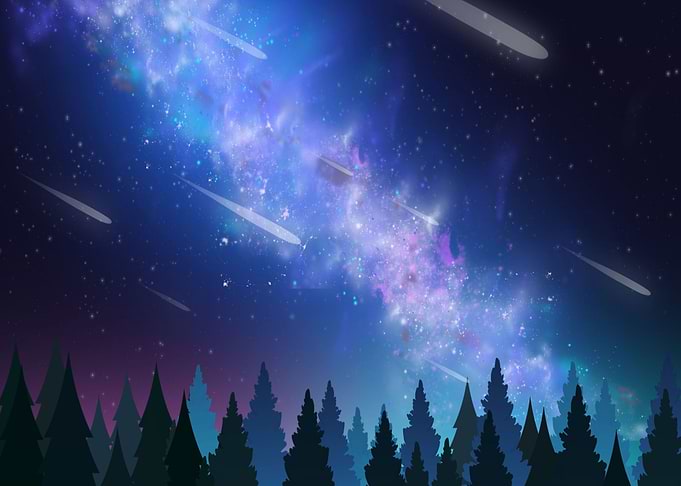 Starry Sky forest Asteroid