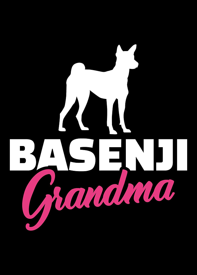 Basenji