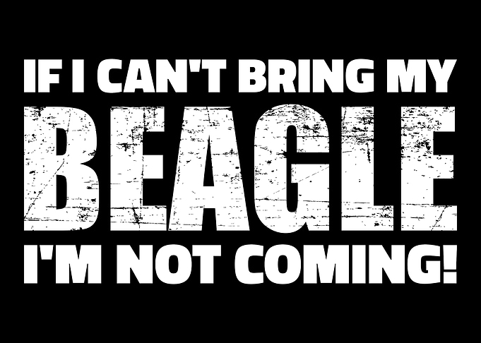 Beagle