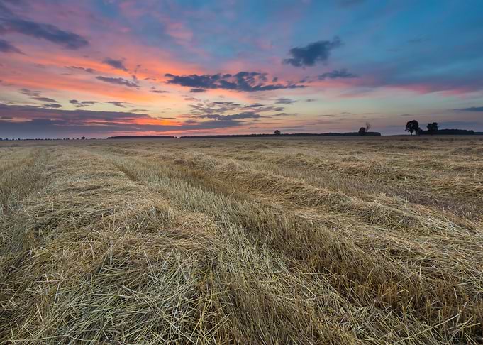 Agriculture Nature Harvest
