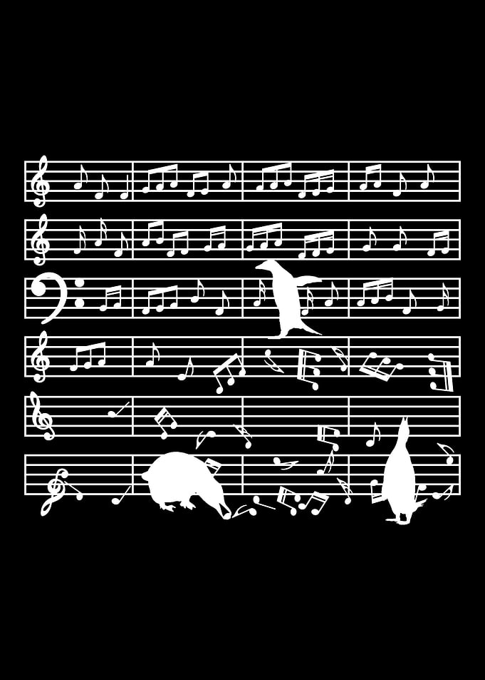 music teacher musician