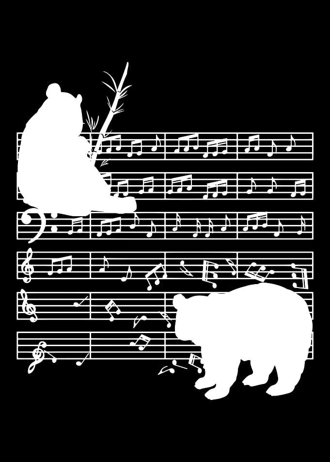music teacher musician