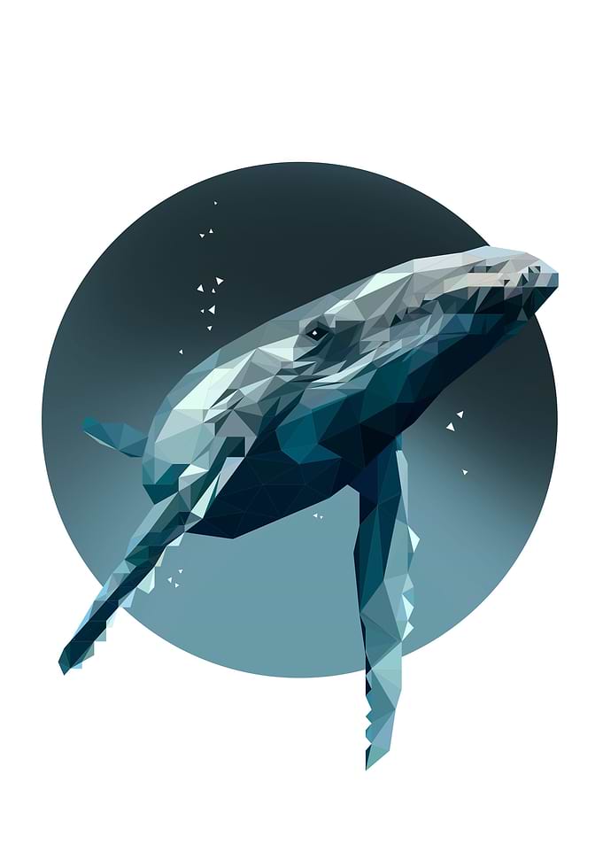 A dream of a whale