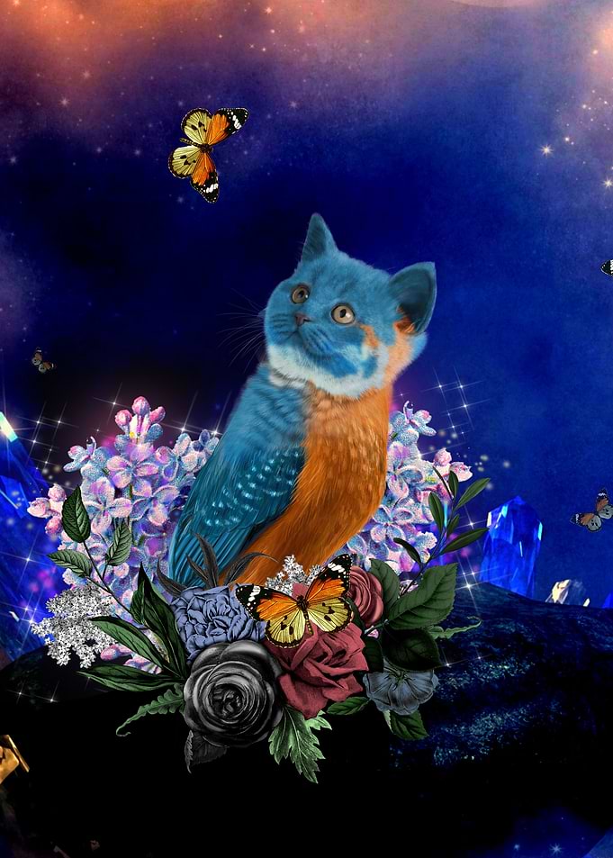 Cute little birdkitten