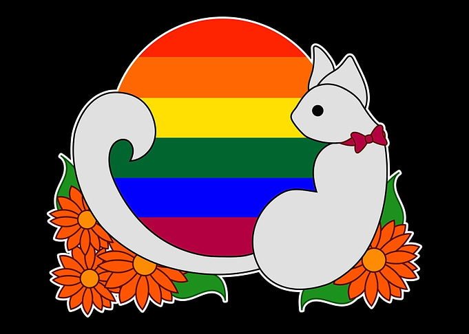 Gay Pride Cat Owner