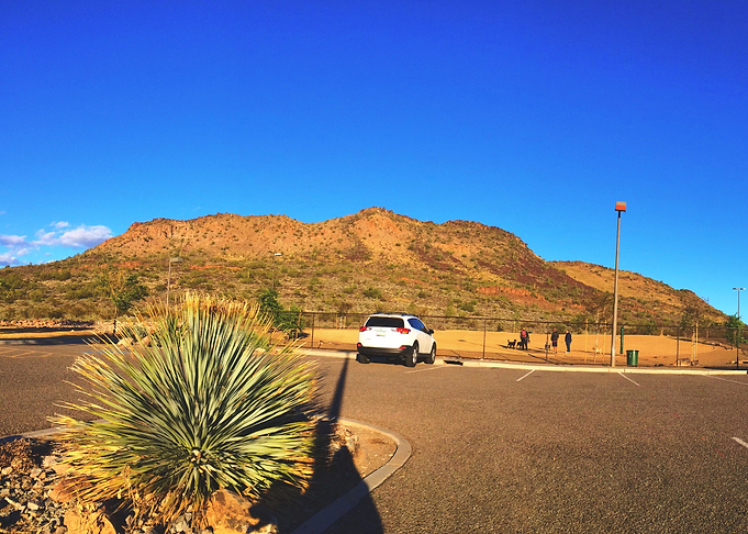 Dog Park