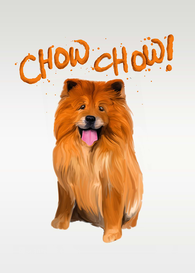 Chow Chow