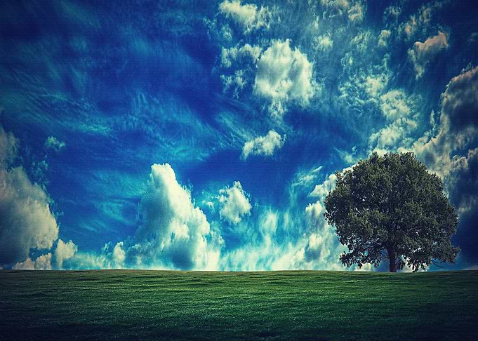 Lanscape