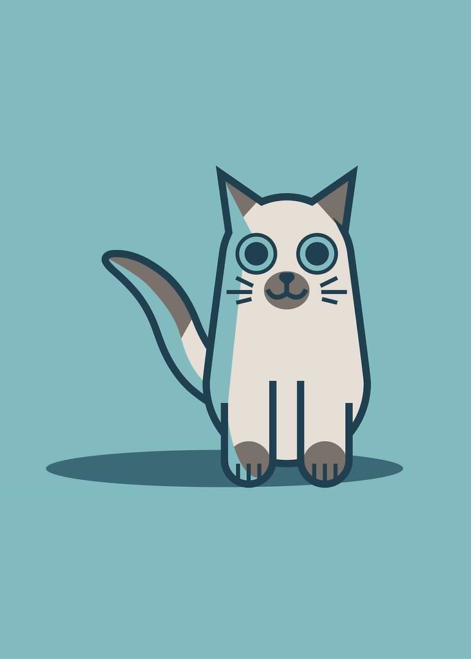 CAT 2